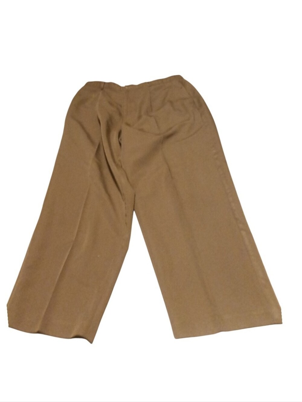 Women's  Briggs Petite Size 16p Tan Brown Pants
